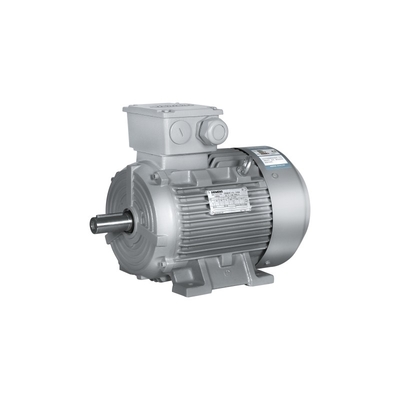 1LE0003-1BB23-3AA4 Siemens SIMOTICS SD двигатель для низковольтных приложений