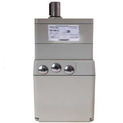 ПНЕУМАТИЧЕСКИЙ АКТЮАТОР SIEMENS OEM SQM10.16502 с индивидуальным дизайном